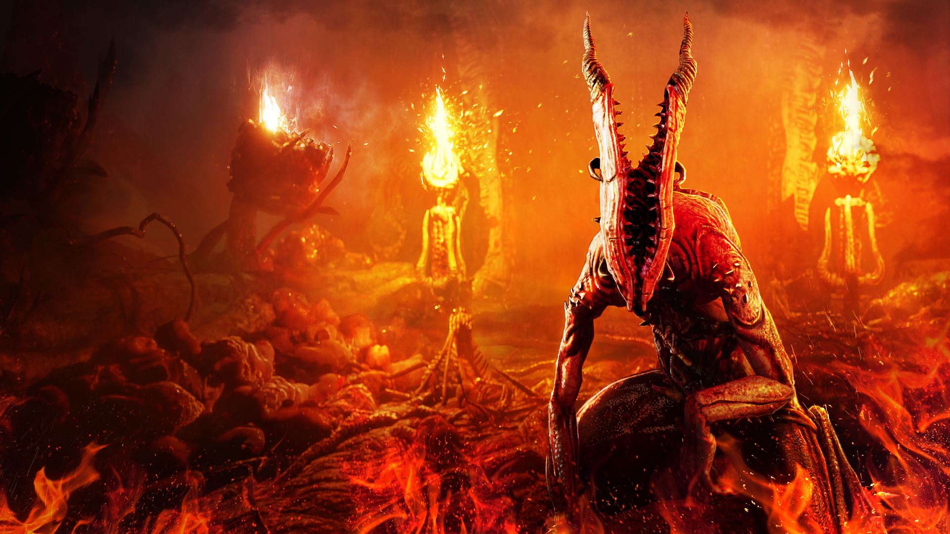 Agony is coming