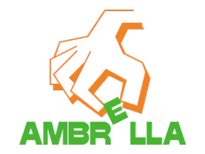 News - Ambrella, Pokemon Rumble developer acquired and disbanded by Creatures. Inc 