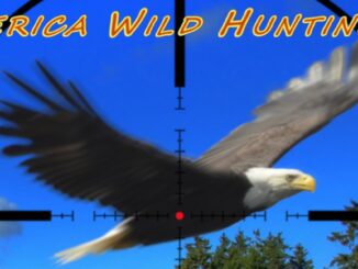 America Wild Hunting