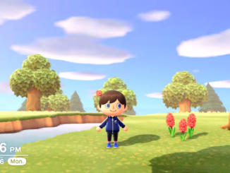 Animal Crossing New Horizons – 24 uur in 1 minuut