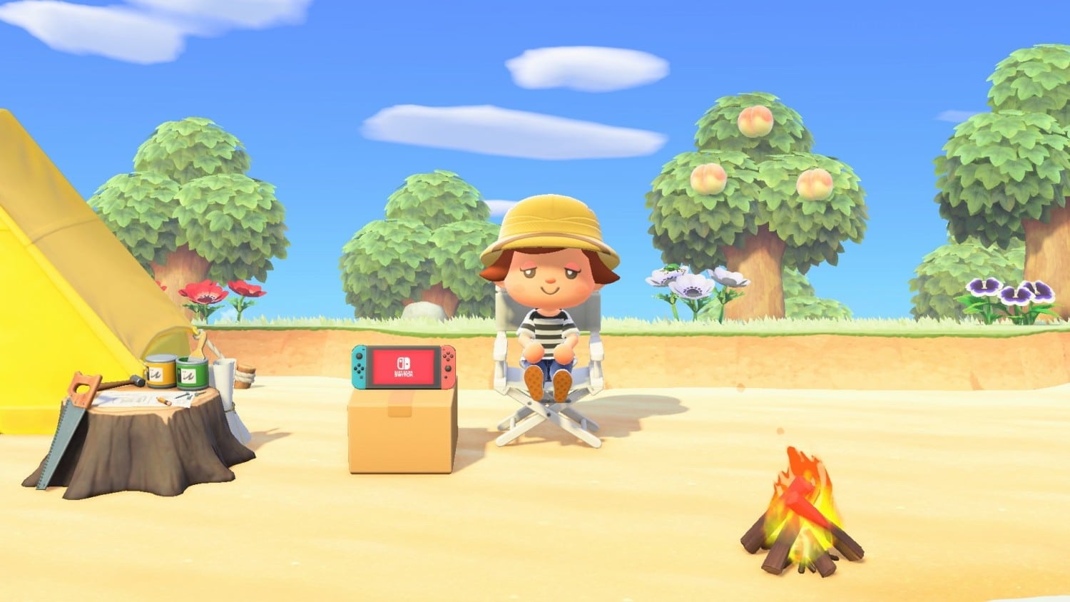 Animal Crossing: New Horizons – Customize Your Nintendo Switch Joy-Cons
