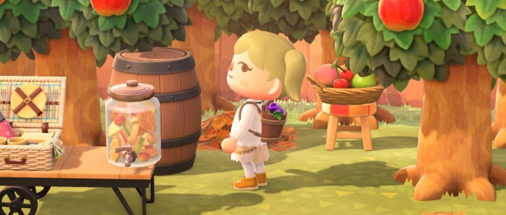 Animal Crossing: New Horizons – Seizoens item – Druivenoogstmand
