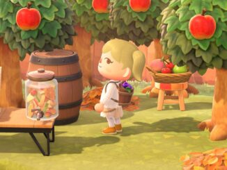 Animal Crossing: New Horizons – Seasonal Item – Grape-Harvest Basket