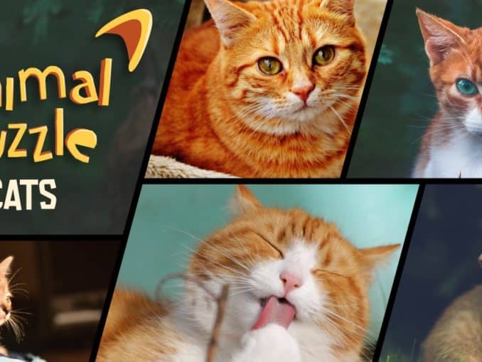 Release - Animal Puzzle Cats 