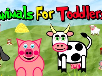 Release - Animals for Toddlers 