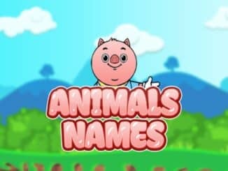 Release - Animals Names 