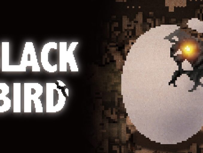 Release - BLACK BIRD 
