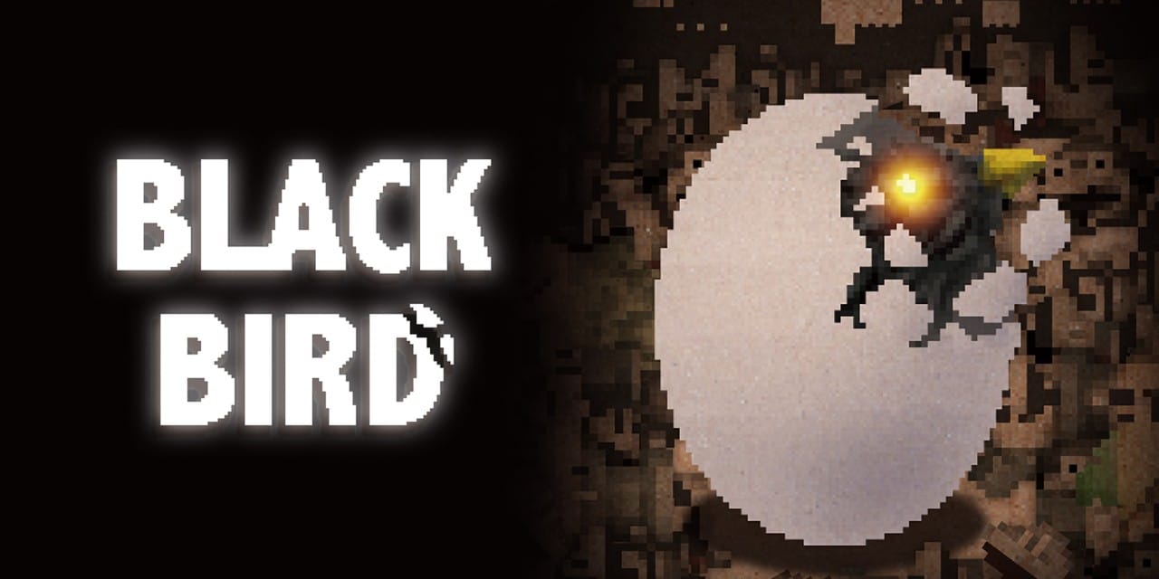 BLACK BIRD BLACK BIRD