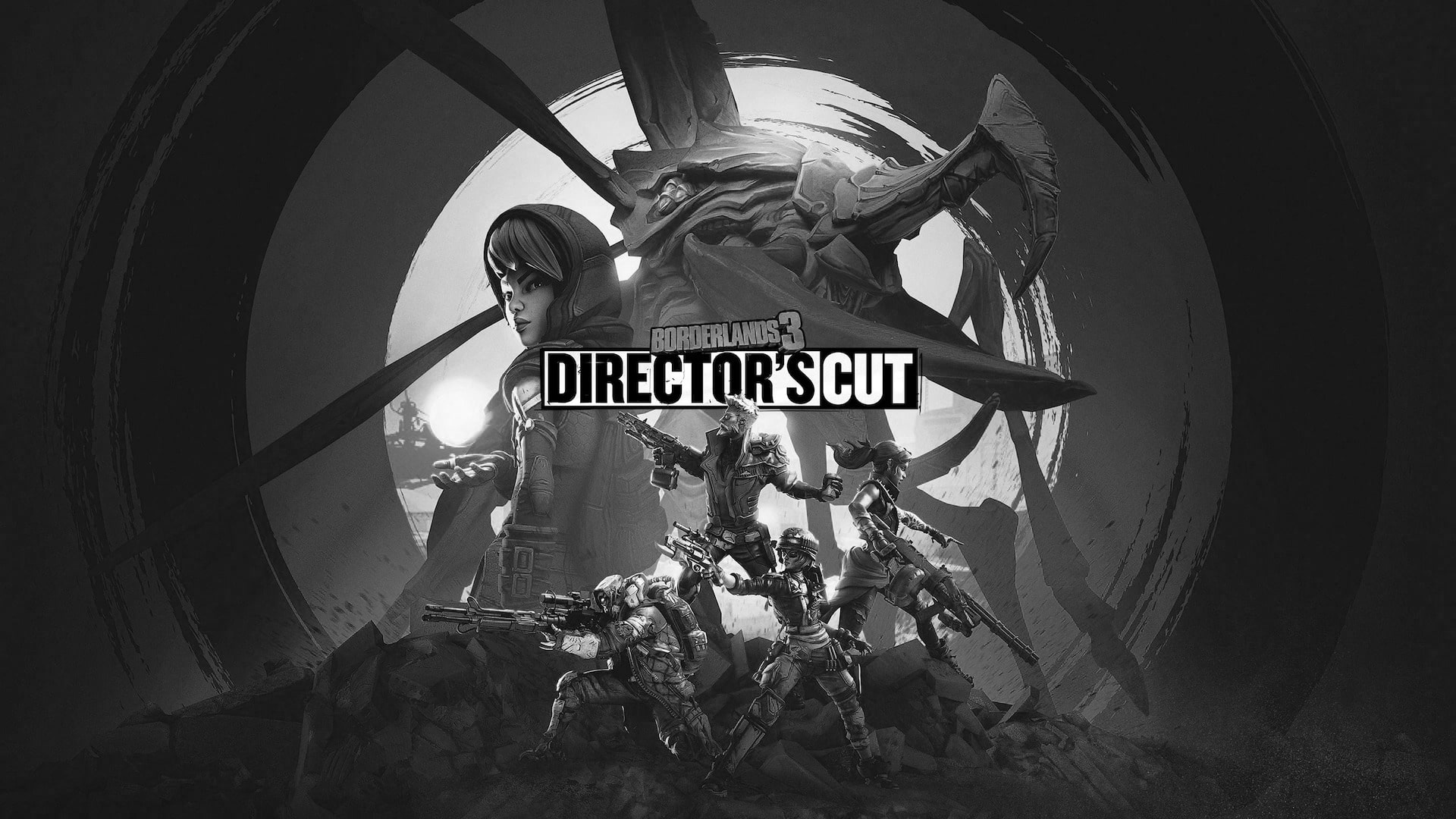 Borderlands 3: Director’s Cut beoordeling een fout?