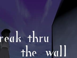 Break thru the wall