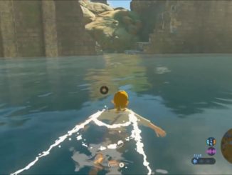 Breath of the Wild glitch – Beautiful view of lively setting underwater