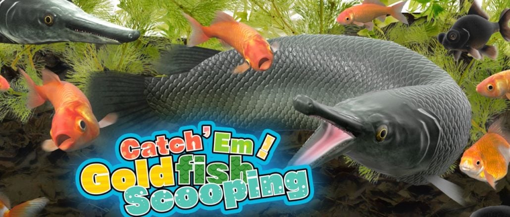 Catch ‘Em! Goldfish Scooping