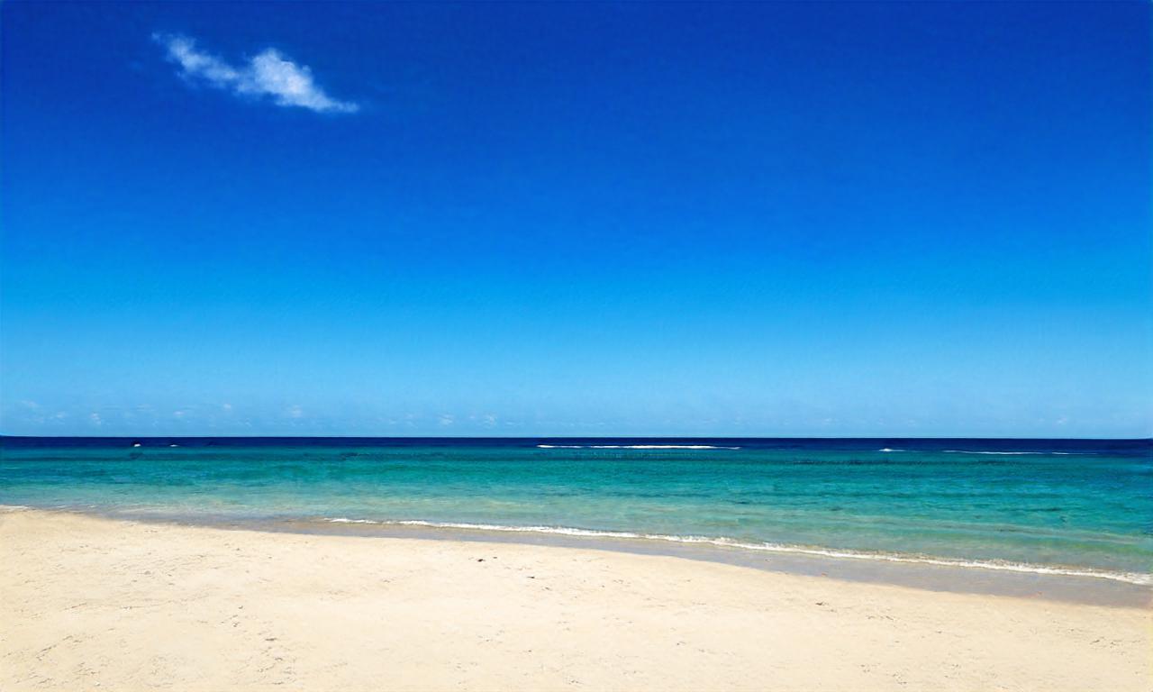 chocobochamp chocobochamp