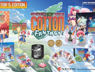 Cotton Rock ‘N’ Roll komt naar het westen als Cotton Fantasy
