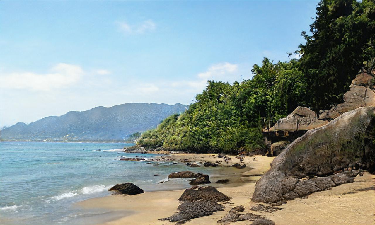 crash_tonic crash_tonic