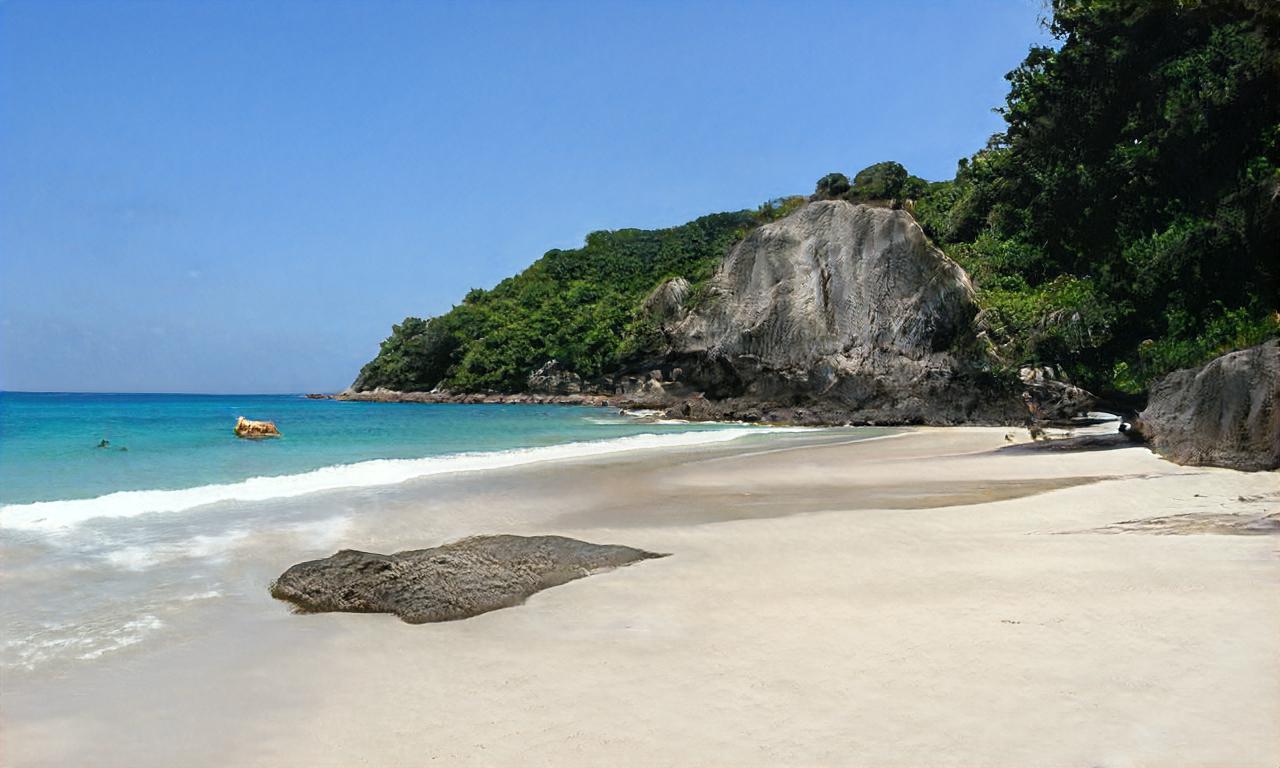 donutvisser donutvisser