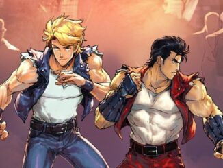 Double Dragon Gaiden: Rise of the Dragons – The Power of Tag Team Combat