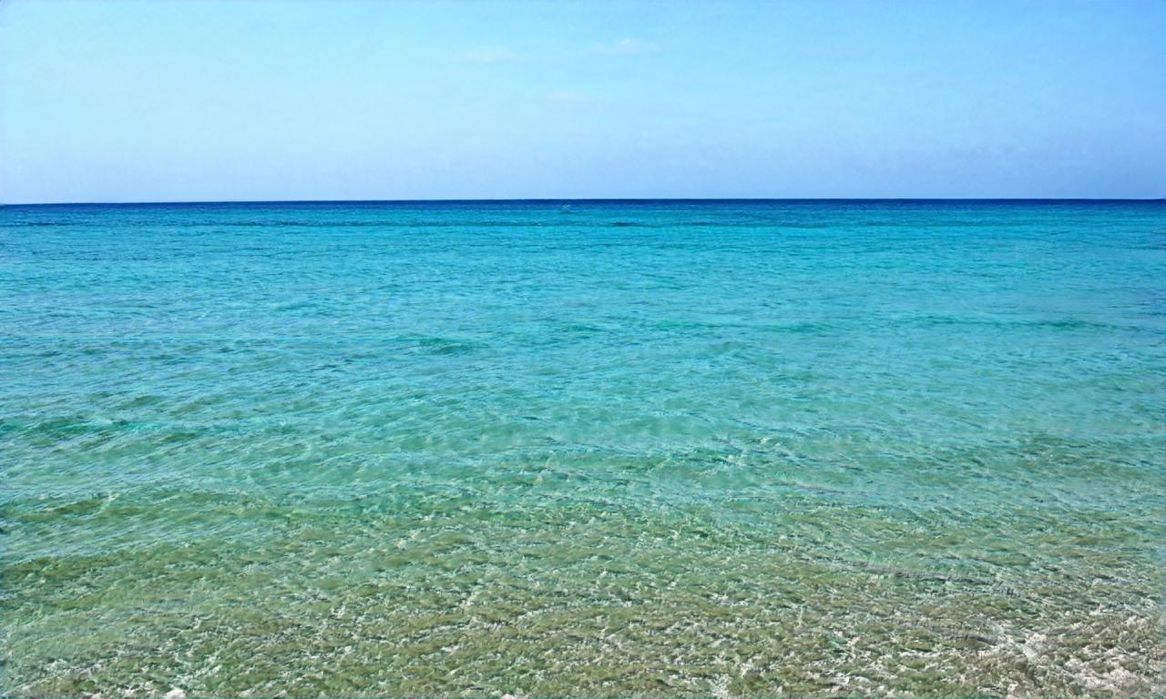 elmauro