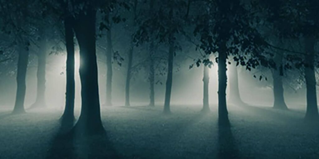 Forest Escape