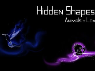 Release - Hidden Shapes: Animals + Lovely Cats 
