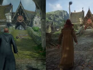 Hogwarts Legacy op Nintendo Switch: veranderingen en impact op de gameplay