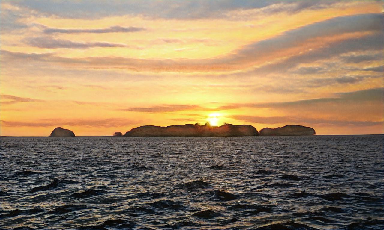 jeanmichelxp jeanmichelxp