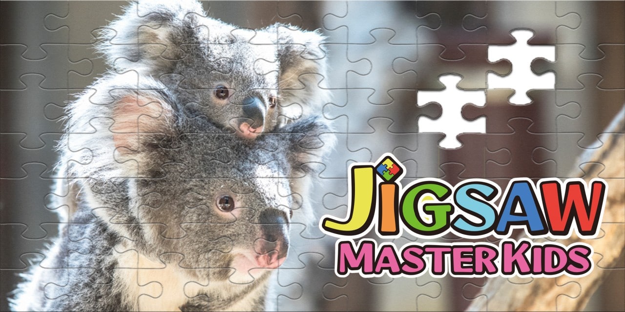 JIGSAW MASTER KIDS