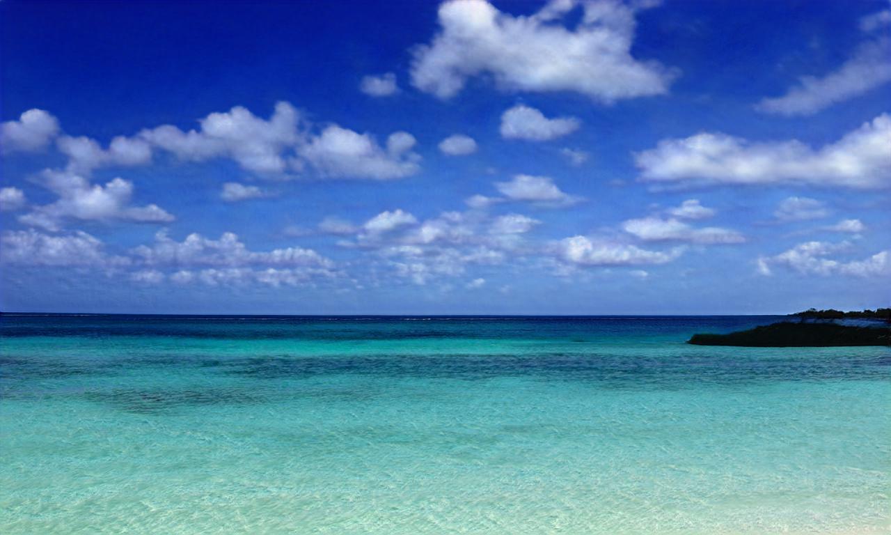 koen_wiifit koen_wiifit