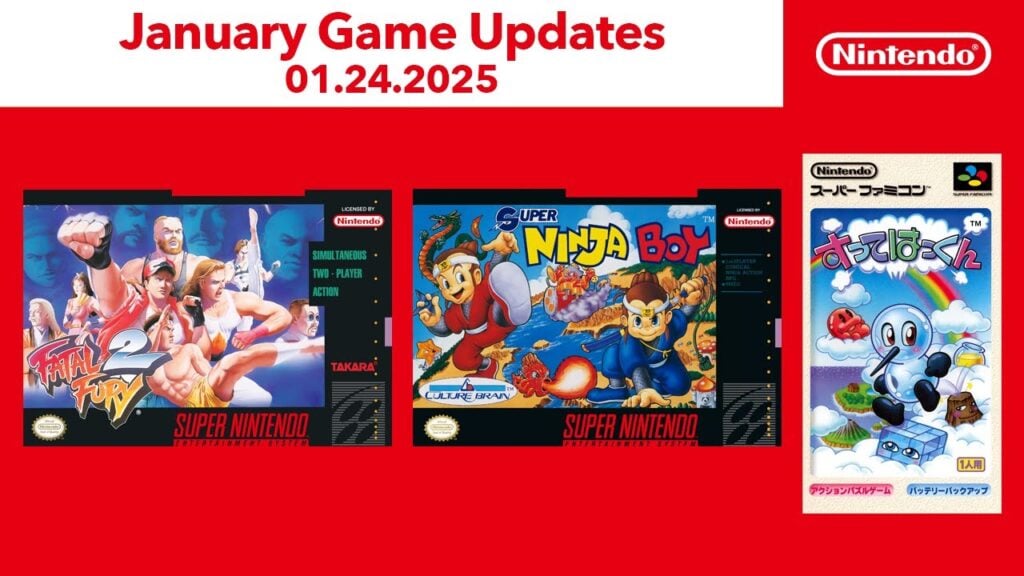 New Games Enrich Nintendo Switch Online – FATAL FURY 2, Sutte Hakkun, And Super Ninja Boy