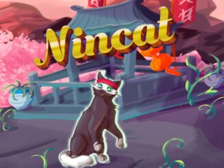 Release - NinCat 