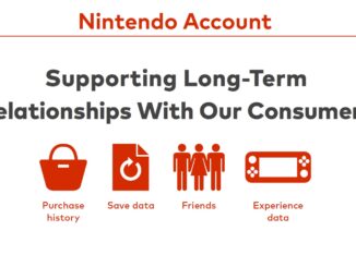 Nintendo-accounts: bouwen aan een duurzame zakelijke basis