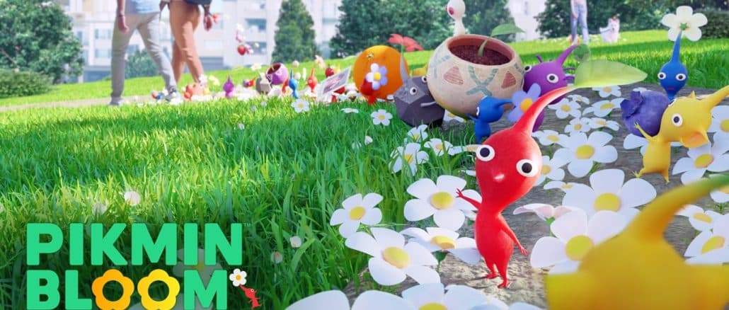 Pikmin Bloom – Version 50.0 / 50.1 patch notes