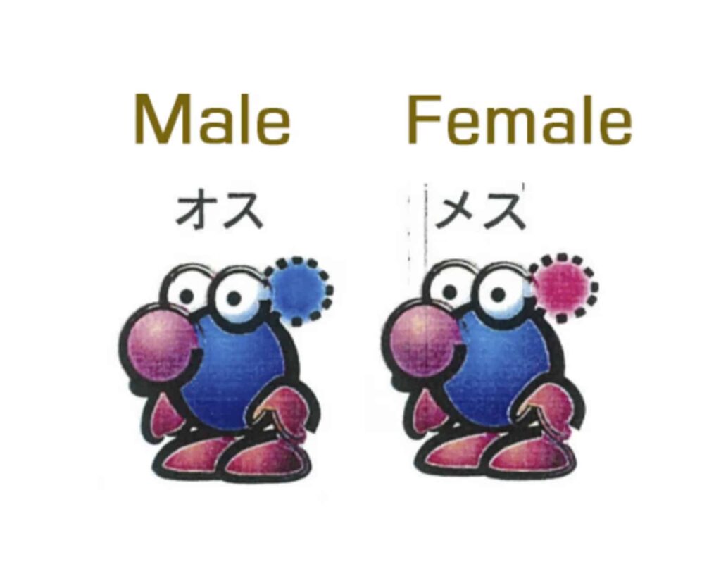 Pikmin’s Origins: Evolution from N64 to Nintendo Switch