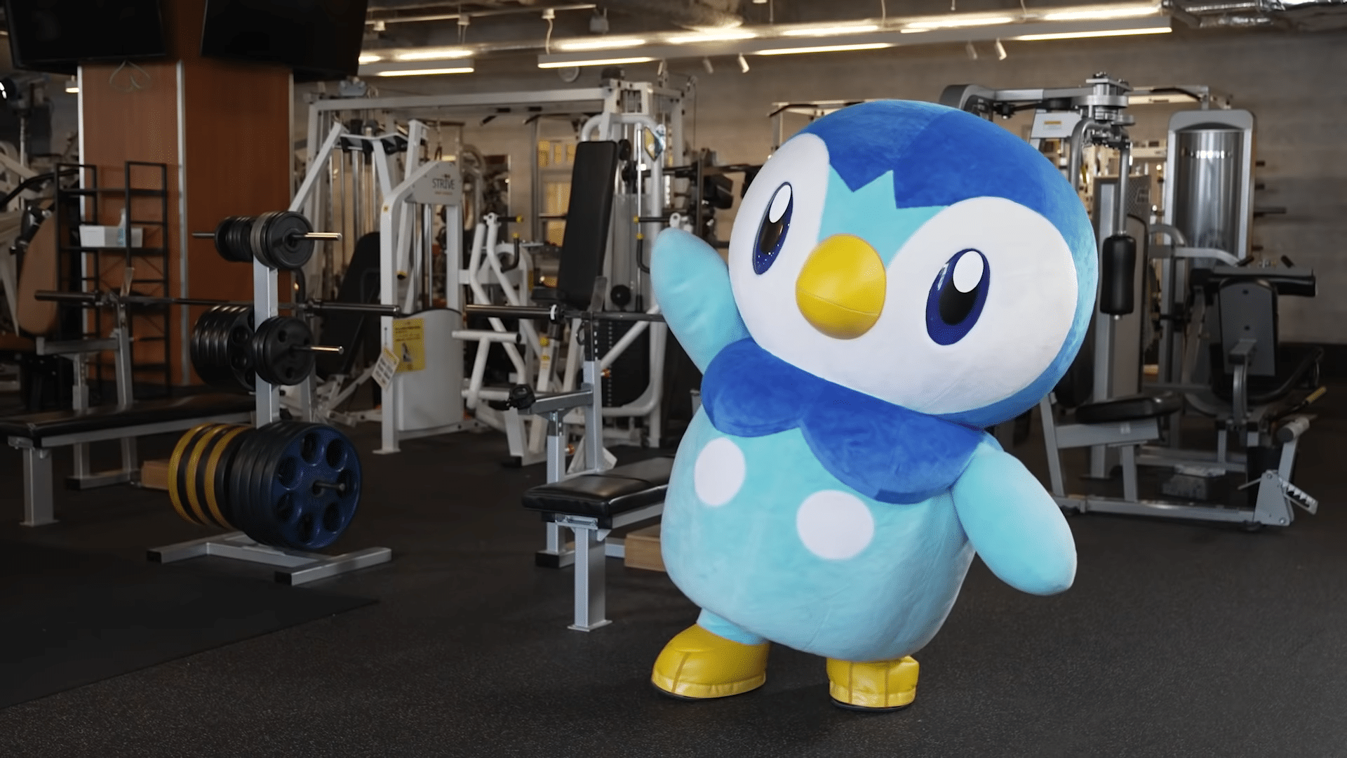 Piplup is featured in a new exercise video