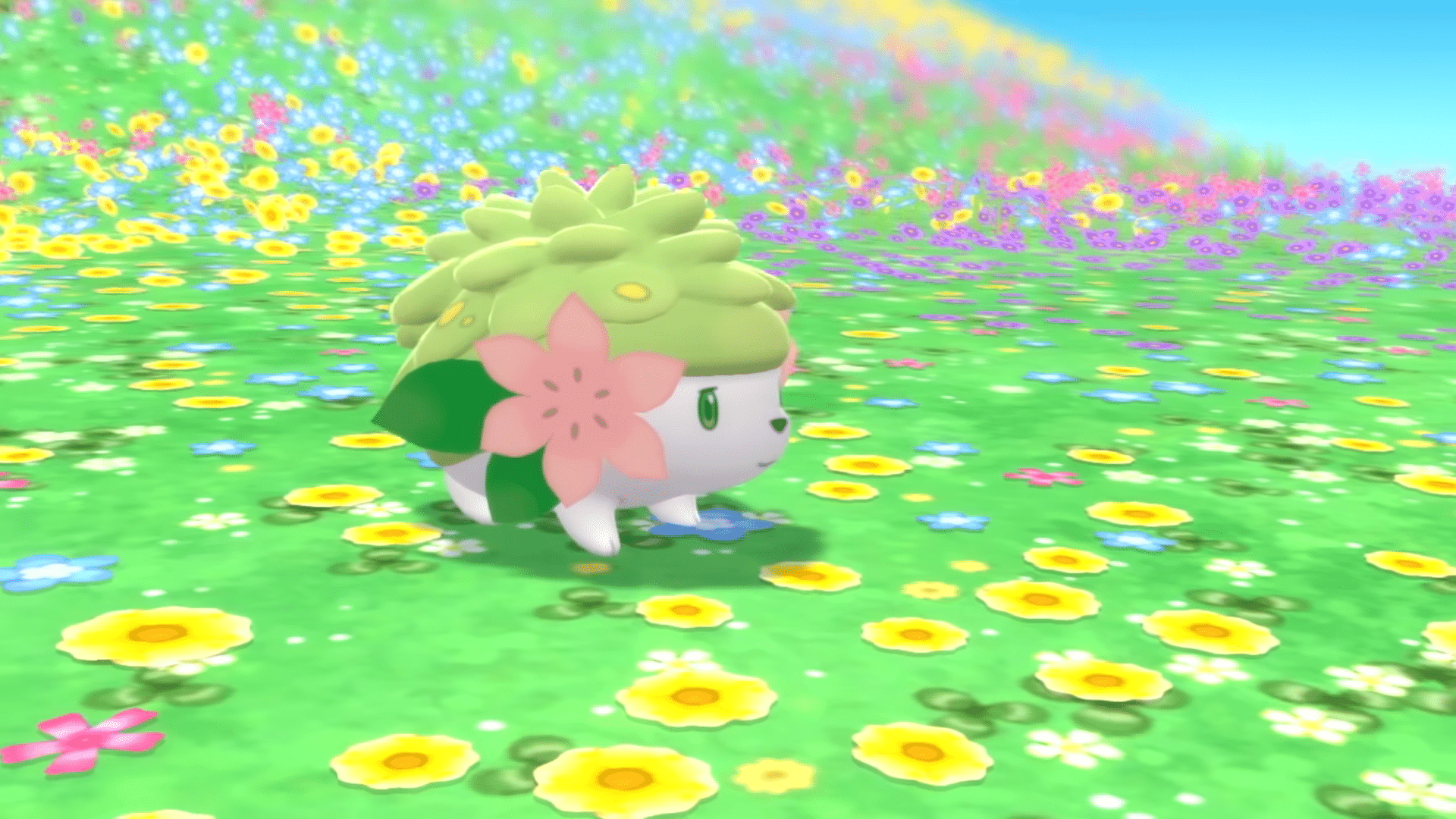 Pokemon Brilliant Diamond & Pokemon Shining Pearl – Shaymin available as free gift Pokemon Brilliant Diamond & Pokemon Shining Pearl – Shaymin available as free gift