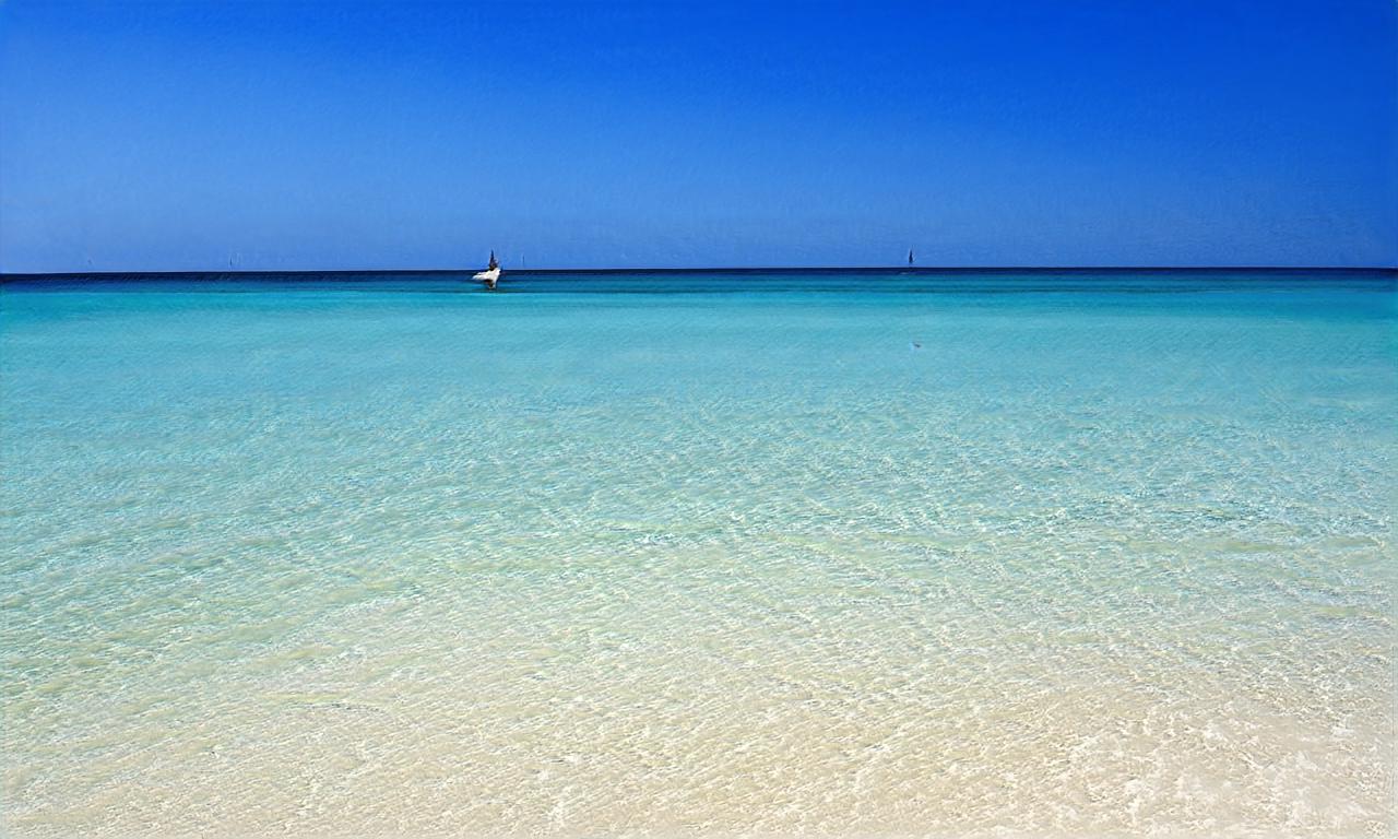 sakuradreamz sakuradreamz