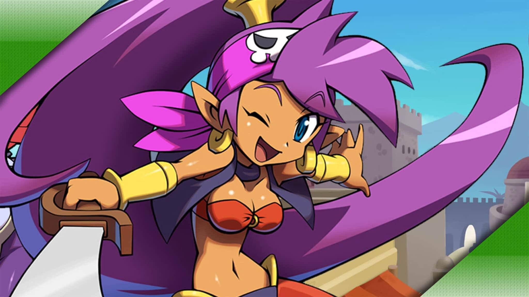Shantae Series Million Sales Worldwide General News NintendoReporters