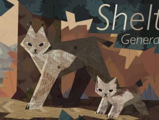 Release - Shelter Generations 
