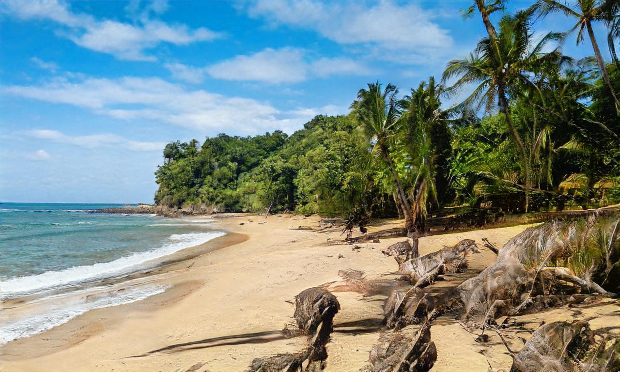 smashbroace smashbroace