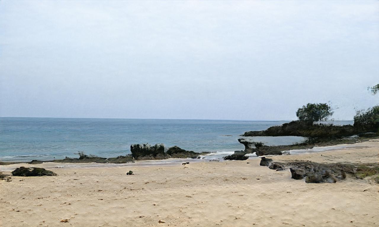 soraecho soraecho