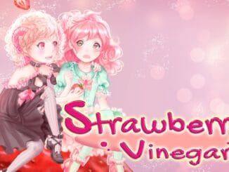 Release - Strawberry Vinegar