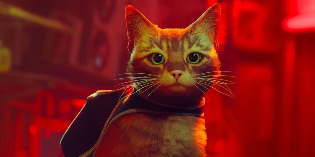 Stray – Vind de weg naar uw katachtige vrienden Stray – Vind de weg naar uw katachtige vrienden