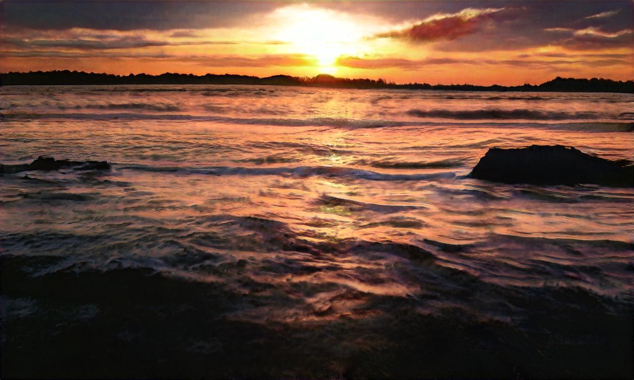 tacoumbrella tacoumbrella