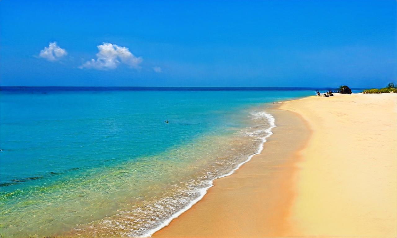 toaddriver99 toaddriver99