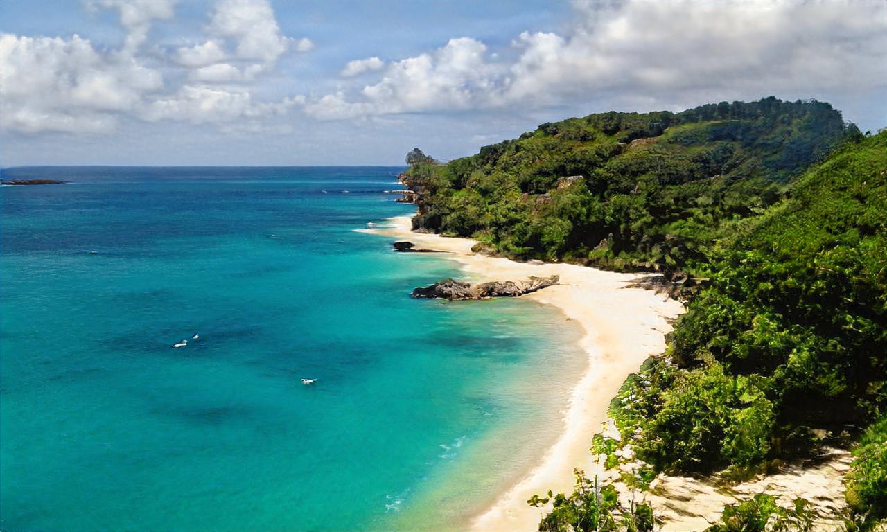 toadrunner95 toadrunner95