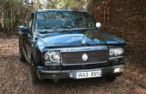 toadster87 toadster87