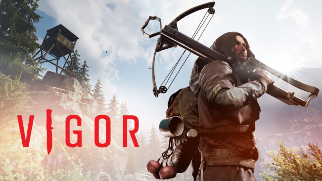 Vigor – Cross Platform Play