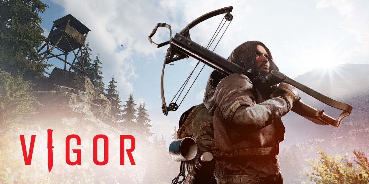 Vigor Vigor