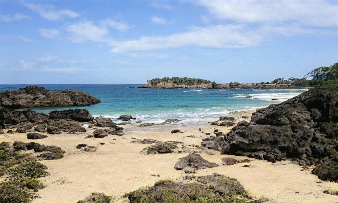 waluigichamp waluigichamp