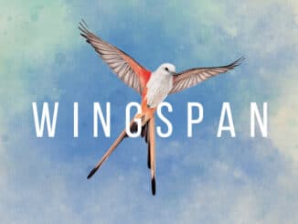 Wingspan – 33 minuten gameplay